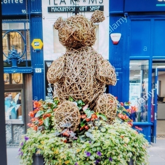 Vintage Teddy Bear honey pot planter Ivy topiary - Picture 14 of 14